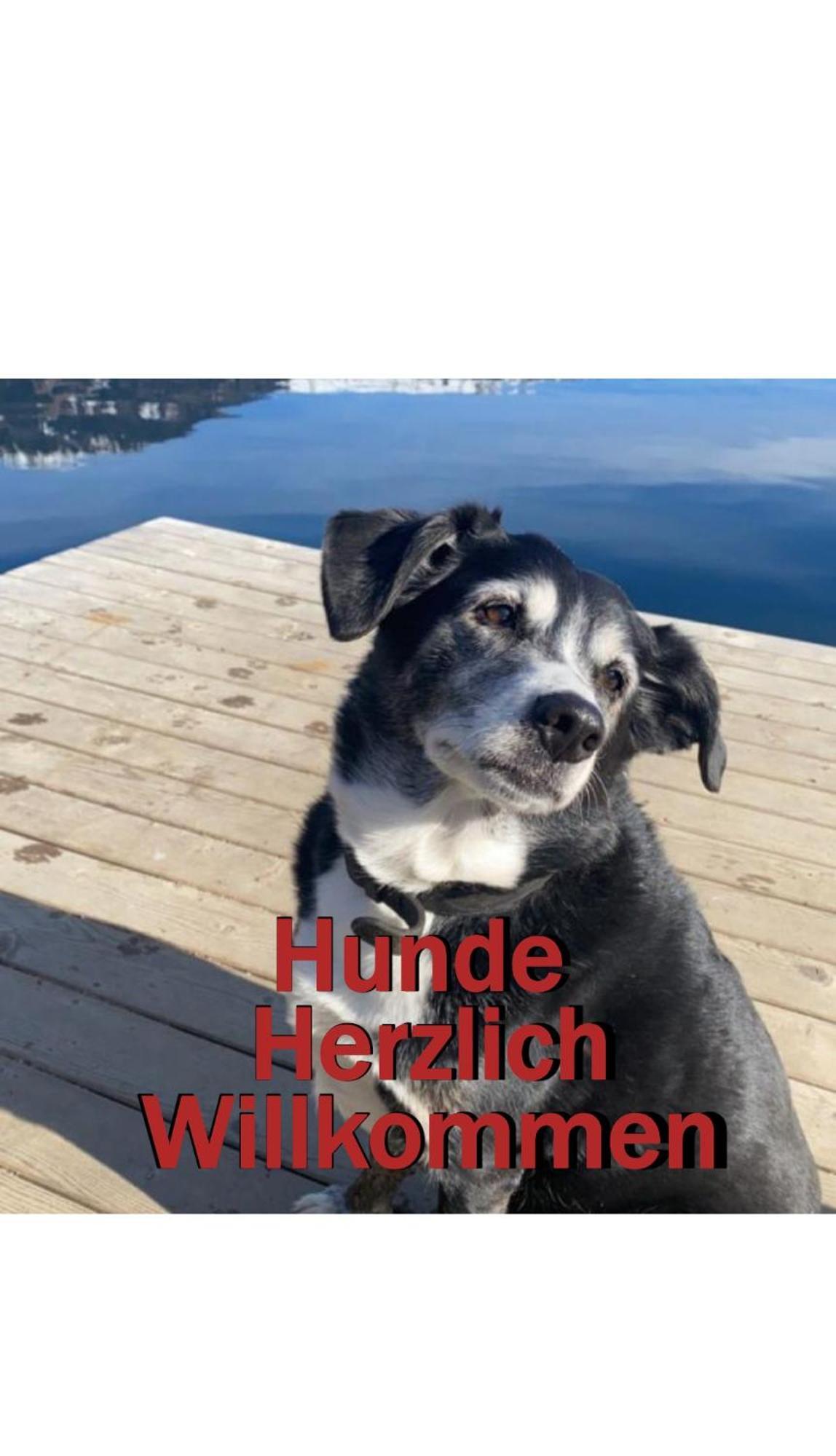 Erlebnis Post - Stadthotel Mit Eigenart Spittal an der Drau Exterior foto